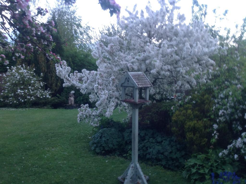 White House Farm Bed and Breakfast Hindolveston Exterior foto